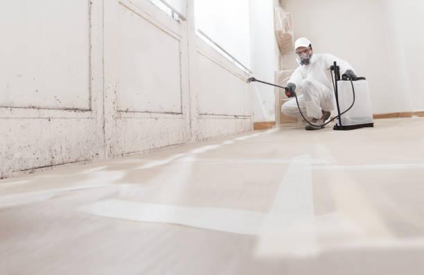 24/7 Emergency Attic Mold Removal experts in Saint Johns, FL