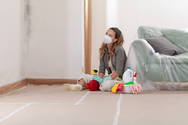 Trusted Basement Mold Remediation service in Saint Johns, FL - Cheap Mold Removal